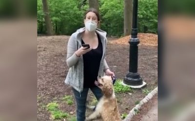 Central Park Karen aka Amy Cooper to Face Charges for Calling the Police on Bird Watcher