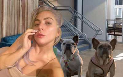 Lady Gaga’s Missing Dogs Have Been Returned Safely