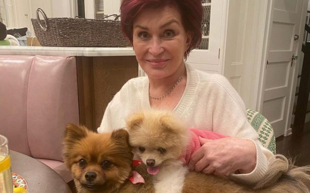 Sheryl Underwood is Calling Her Exchange with Sharon Osbourne Over Piers Morgan “a Blessing”