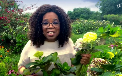 Oprah Says She Was Surprised that Meghan Markle “Went All the Way There” On Race in Their Sit Down Interview