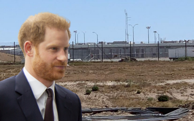 Woman Tries to Sue Prince Harry Saying He Promised to Marry Her; Wants Him in Jail