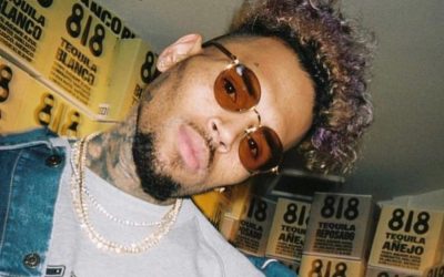 Chris Brown Gets Sued for His Housekeeper Getting Viciously Mauled by His Dog and Covering It Up