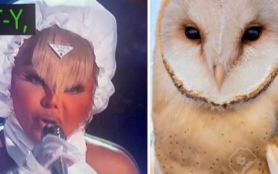 Lil Kim Clapped Back at 50 Cent for Saying She Looked Like an Owl at the BET Awards