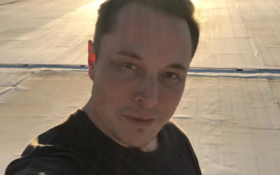 Elon Musk Says His Twitter Buy is Currently “On Hold” Over Concerns of Fake Accounts on the Platform
